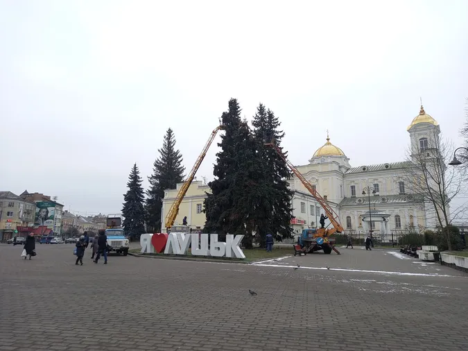 У Луцьку почали прикрашати головні ялинки (фото, відео)