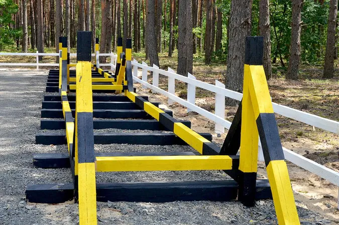 Волинські лісівники адаптуються до нових реалій (фото)