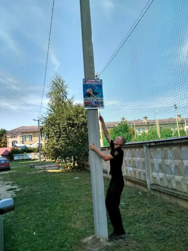 Муніципали очистили Луцьк від незаконної реклами (фото)
