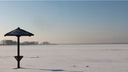 Опублікували знімки різдвяного Світязя