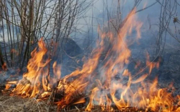 На Волині паліїв трави оштрафували майже на сто тисяч гривень