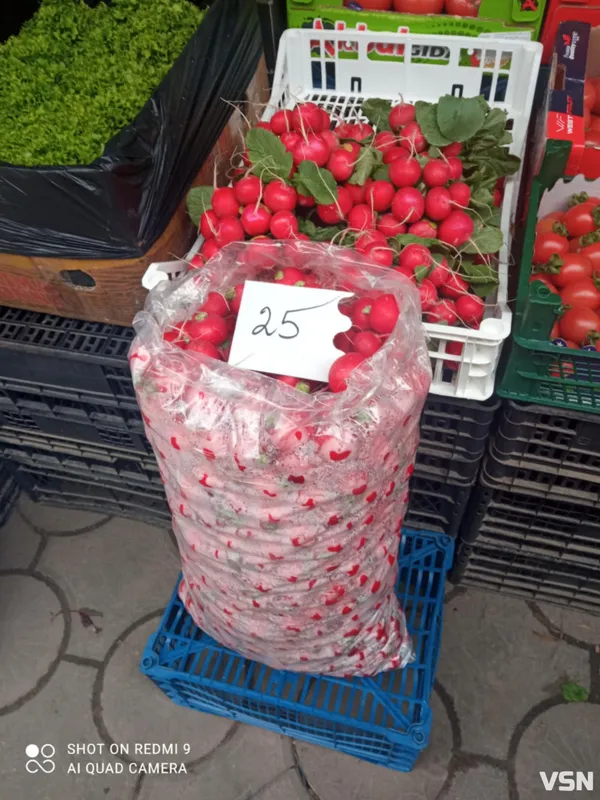 Скільки коштують перші весняні овочі на волинських ринках (фото)