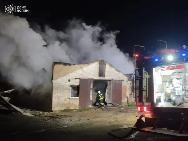 Вогонь охопив корівник і свинарник: на Володимирщині горіла ферма з тваринами (фото)
