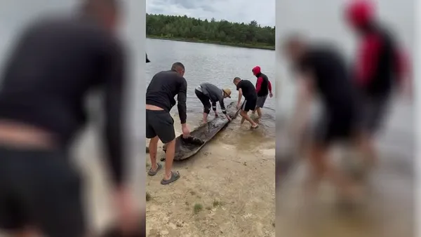 У поліському озері знайшли одразу чотири загадкові човни-довбанки (фото)