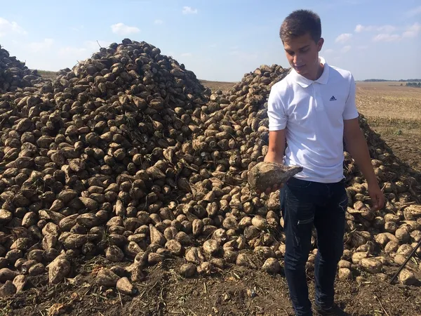Молодший агроном СГПП «Рать» Олександр Шумський