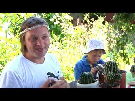 Школяр із Житомира колекціонує кактуси: їх у нього понад 100 видів (відео)