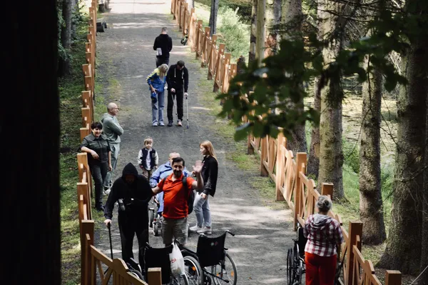 Ліс, що лікує: як у Воротневі Захисники відчувають силу природи
