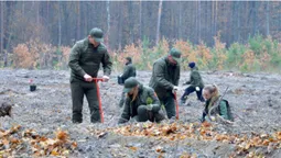 На Волині висадили понад 5 мільйонів сіянців, саджанців та дерев (фото)