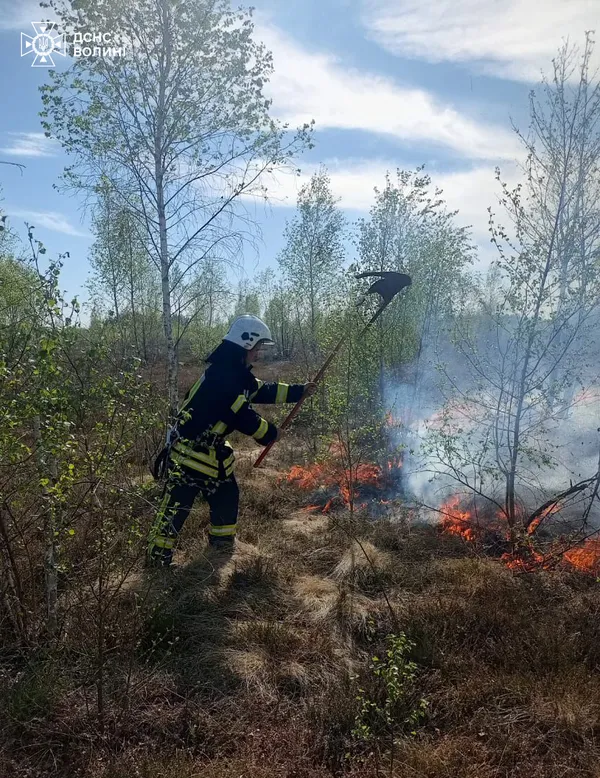 Горіло у трьох районах: на Волині рятувальники ліквідували масштабні пожежі (фото)