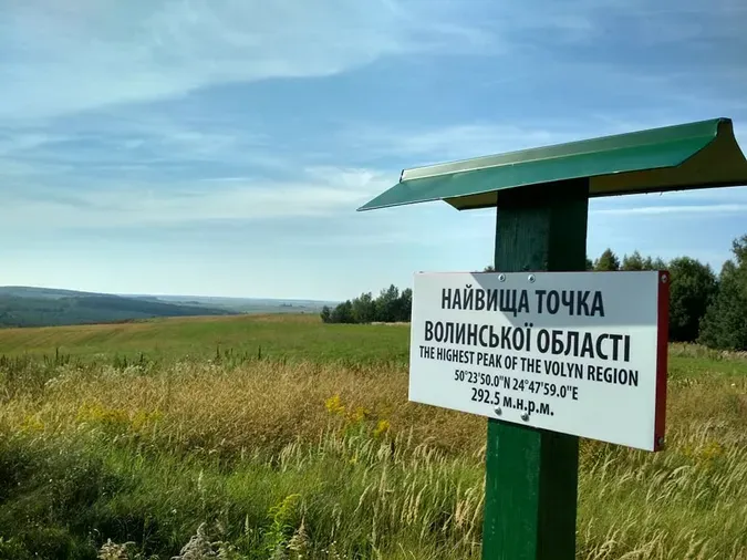 В мережі продають суницю, зібрану біля найвищої точки Волині (фото)