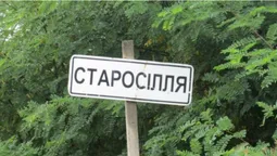Поліські села показали з висоти пташиного польоту (відео)