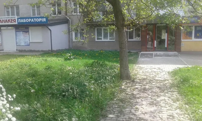 У Луцьку голів ОСББ штрафуватимуть за нескошену траву (фото)