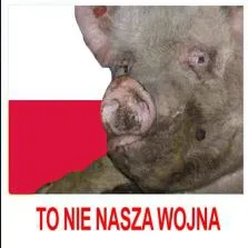 Шахеди – в Польщі: мережа вибухнула мемами (ми зібрали найсмішніші)