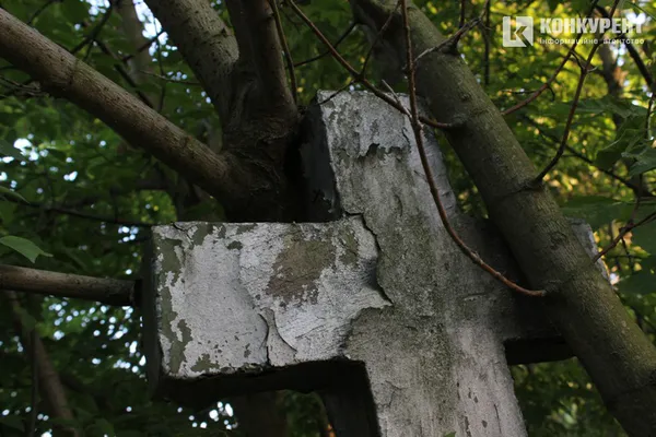 Пальма, криниця і «могила хом'яка»: (не)містична прогулянка луцьким цвинтарем (фото)