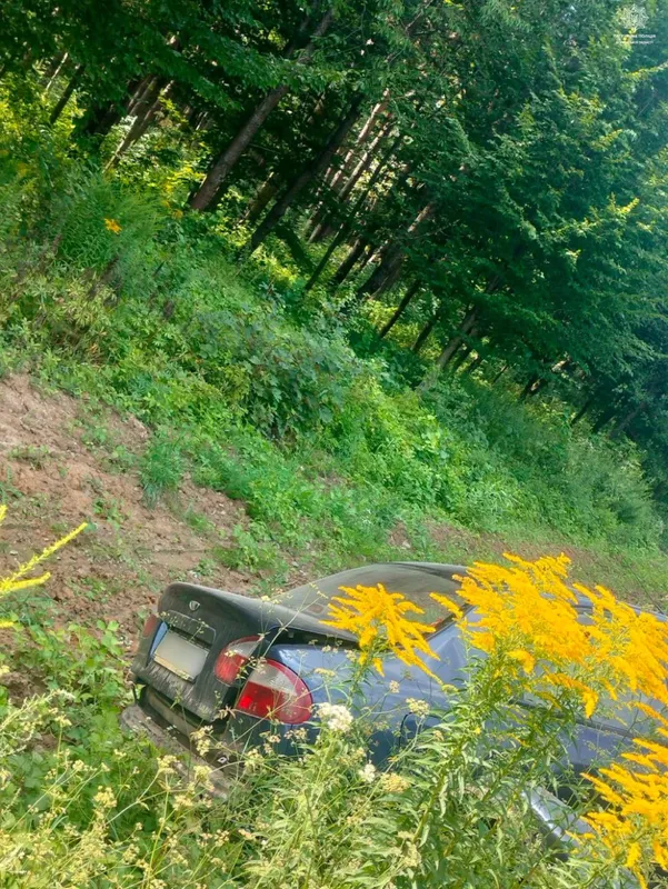 У Луцьку п'яна жінка на Audi збила рекламний щит (фото)