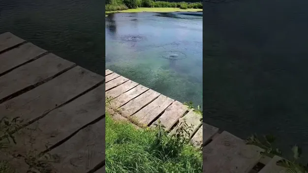 Стирчать труби і не бурлить вода: на Волині зникли унікальні Оконські джерела (фото, відео)