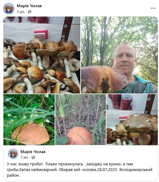 Найгрибніші місця Волині: куди податися на «тихе полювання» (фото)