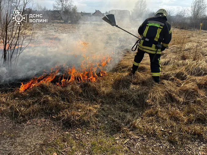 Найтриваліша пожежа на Волині: рятувальники пів доби гасили вогонь на торфовищі (фото)