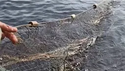 З волинських водойм витягнули понад 600 метрів сіток (фото)