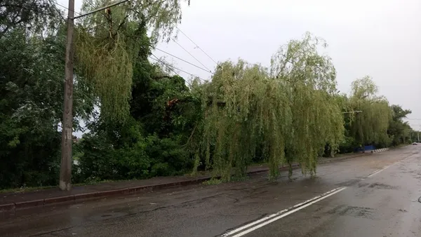 У Луцьку після негоди відновлюють тролейбусні лінії (фото)