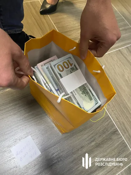 У депутатки Хмельницької міськради знайшли понад 1,5 млн незадекларованих доларів (фото)
