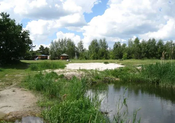 Шашлики, риболовля, водойми: де відпочити біля Луцька (локації та ціни)