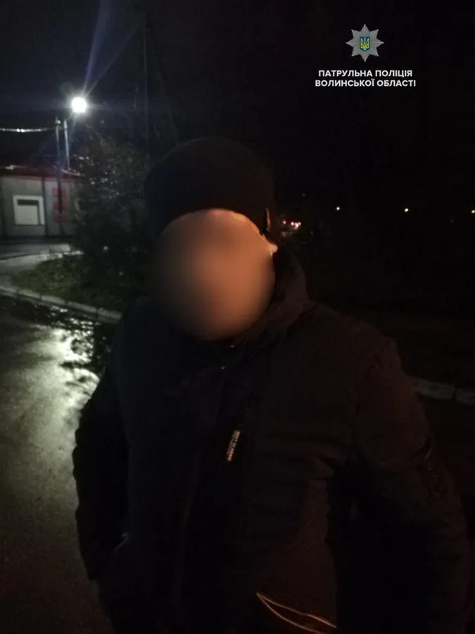 Перекинув ялинку і налякав сина: на Волині затримали сімейного насильника