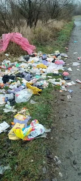 У селі на Волині викинули гору сміття просто неба (фото)