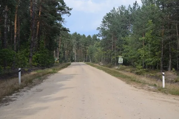 На Волині збудували і відновили 70 кілометрів лісових доріг (фото)
