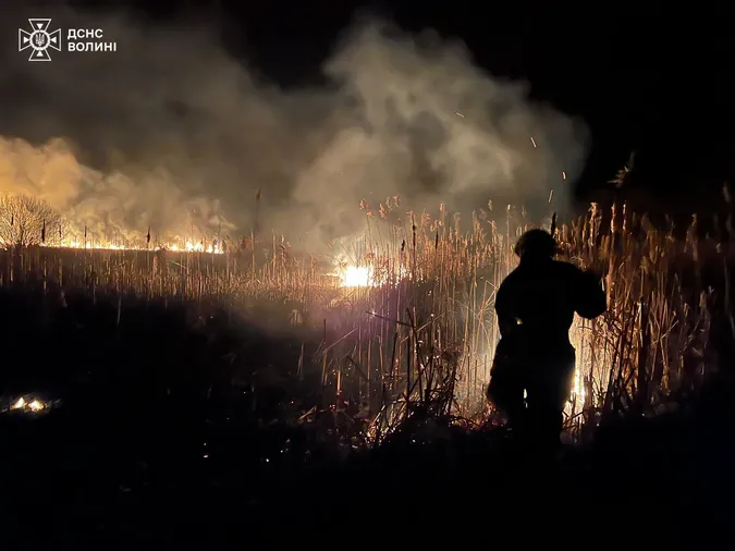 На Волині через людську недбалість вигоріли понад 5 гектарів поля (фото)