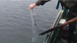 На водосховищі в Горохівському районі знайшли пів кілометра "нічийних" сіток (фото)
