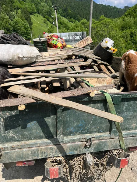 Кози, свині, ухилянти: на кордоні з Румунією затримали волинянина (фото, відео)