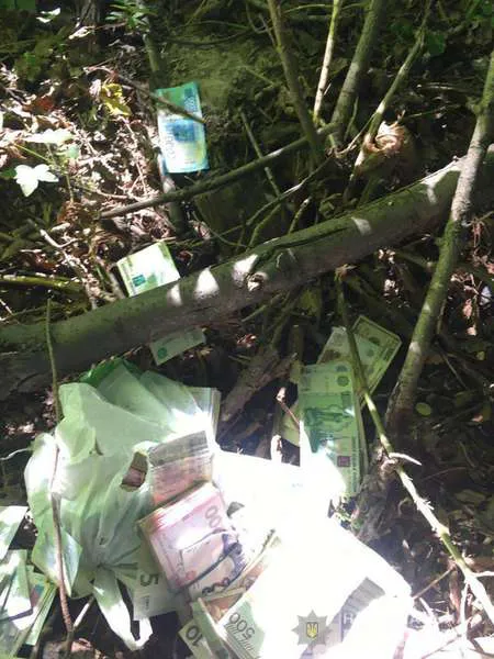 Пограбування валютника в Нововолинську: нападників залишили під вартою