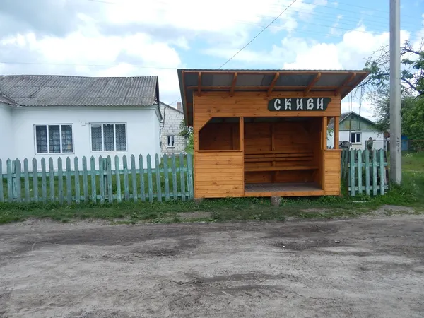 «Живі» гроші,  ремонти, створення парків: як лісівники допомагають громадам на Волині (фото)