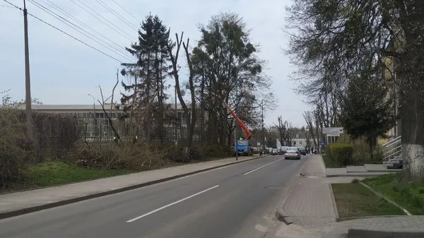 Садять квіти та обрізають гілля: луцькі комунальники наводять лад на вулицях міста ( фото, відео)