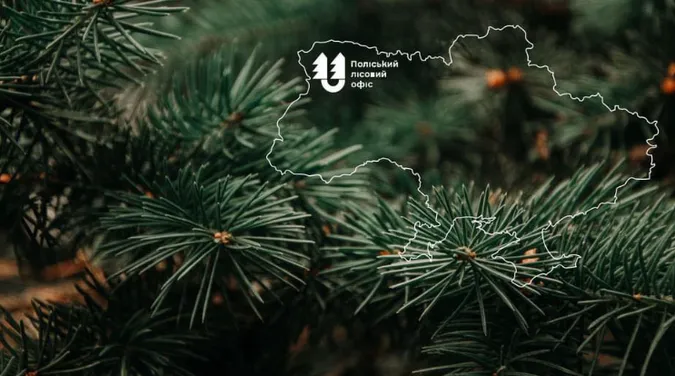 На Волині лісівники і керівники громад обговорили зміни у співпраці після реформи