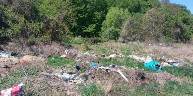 У Луцькому районі невідомі влаштували стихійне сміттєзвалище (фото)