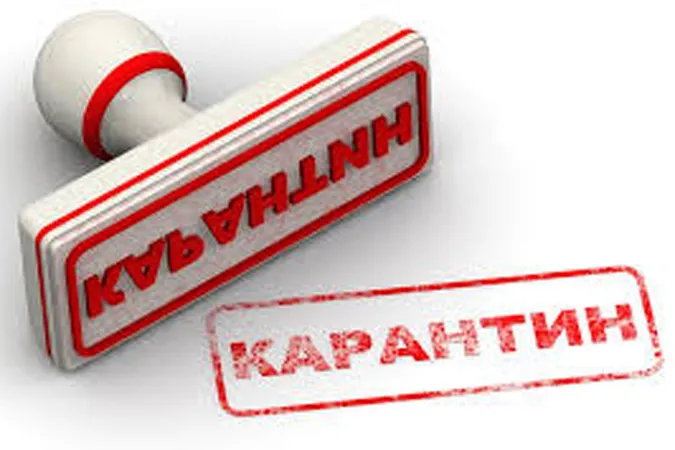 У Луцькраді вважають, що петиції про карантин подають школярі