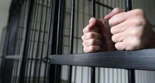 Нещодавно випустили з колонії: двоє волинян повторно вчинили злочин