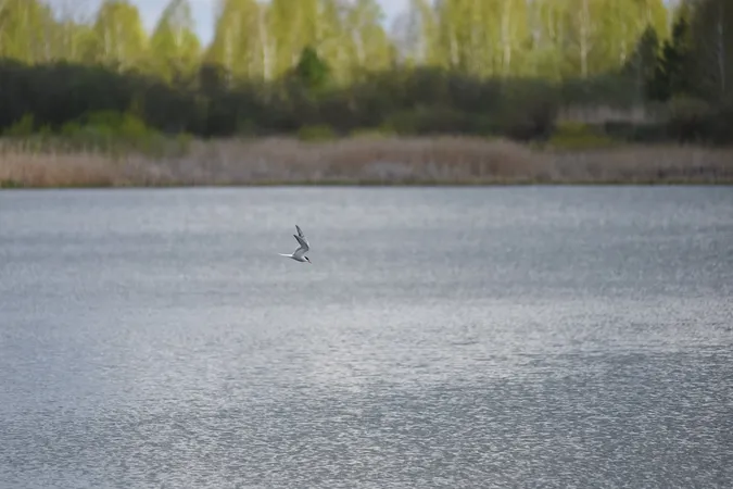 Безлюдно і весняно: луцький фотограф поділився світлинами міста і околиць