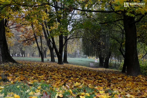Лячно, кольорово, тихо: осінь у парку 900-річчя Луцька (ФОТО)