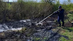 На Волині горіли суха трава і торф (фото)