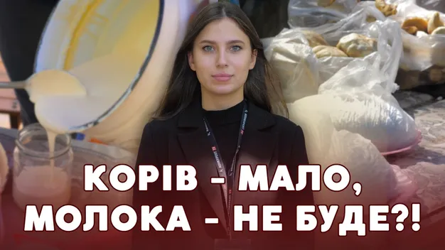 Корів стає дедалі менше: що коїться з домашньою молочкою на луцькому ринку (відео)