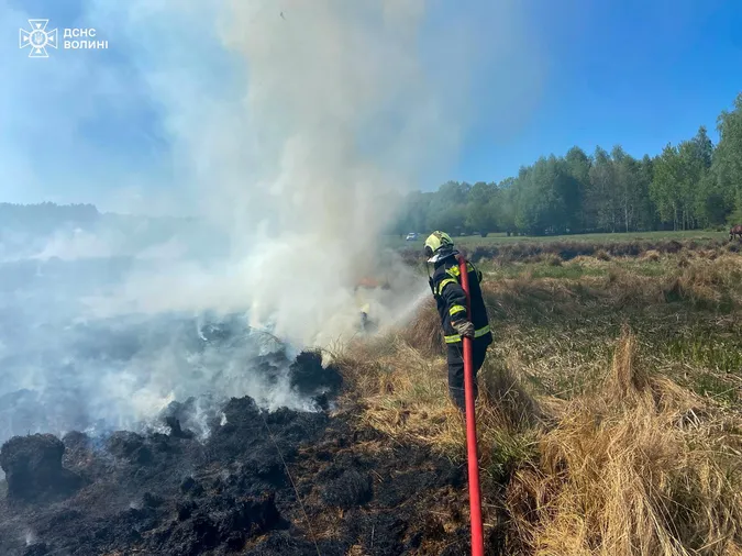На Волині пожежа із сухостою перекинулася на торфовище (фото)