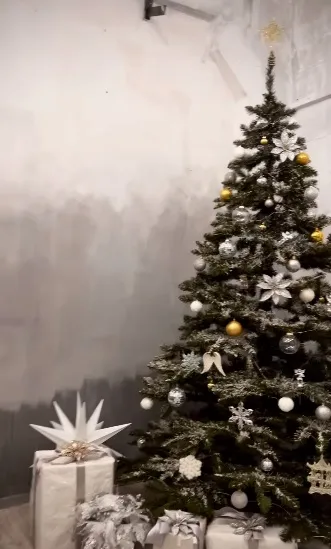 Де та за скільки зробити новорічну фотосесію у Луцьку