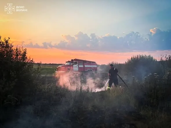 На Волині майже добу гасили пожежу торфу (фото)