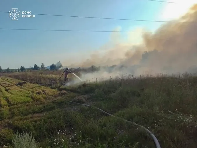 Палала суха трава і стерня: на Волині за добу ліквідували чотири пожежі (фото)