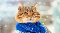 На Волині – рекордний мороз -32°C: що коїться з погодою