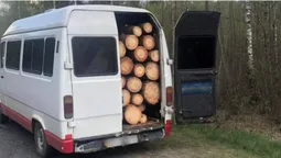 Напакували бус «під зав'язку»: на Волині зловили крадіїв лісу (фото, відео)