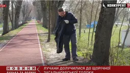 Вивезли 15 вантажівок сміття: у Луцьку влаштували загальноміську толоку (відео)